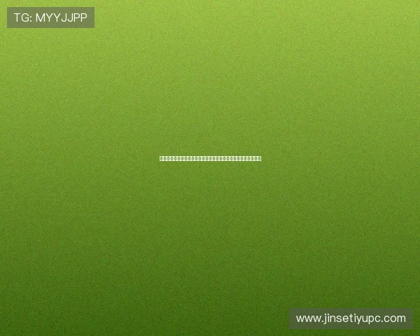 佛得角沙特世界杯控球率对比：揭示两队战术执行与比赛胜负关系